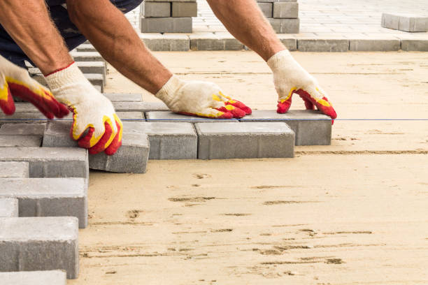 Best Local Driveway Pavers  in Willow, AK