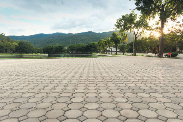 Best Professional Driveway Pavers  in Willow, AK