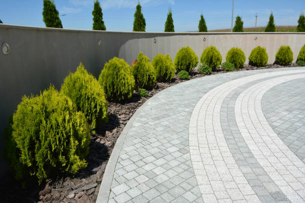 Best Decorative Driveway Pavers  in Willow, AK